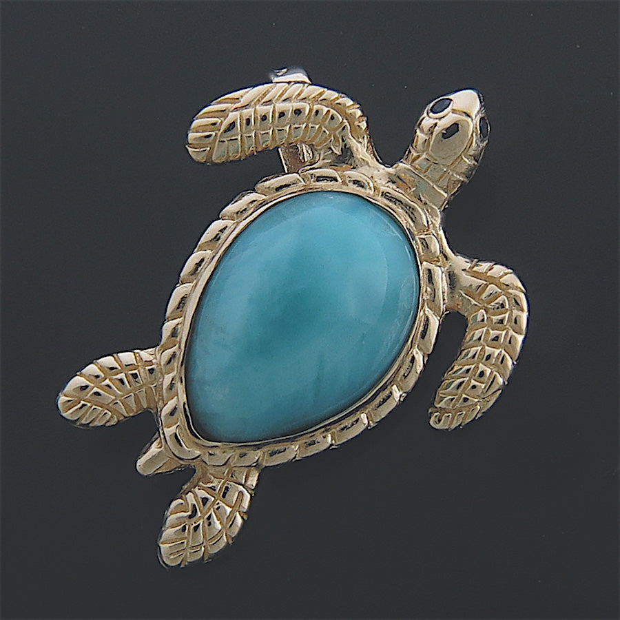 Loggerhead Sea Turtle Shell