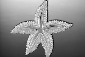 Silver Large Starfish Pendant